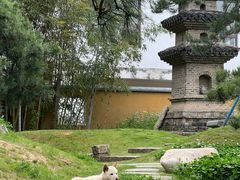 -龙华寺