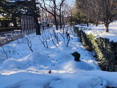 -陶然亭公园