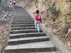 -火炉山森林公园