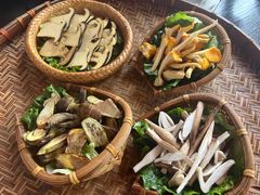 -滇野云南野生菌餐厅(陕西南路店)