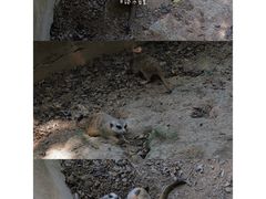 -灵玲国际马戏城