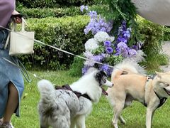 -青岛海尔洲际酒店