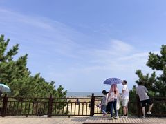 -日照海滨国家森林公园