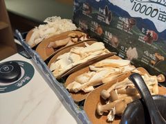 -芸山季·云南山珍菌火锅(南翔印象城MEGA店)