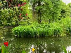 -东湖落雁景区