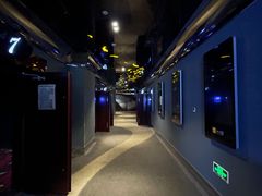 -AMG海上明珠影城(上海环球港RealDCinema店)