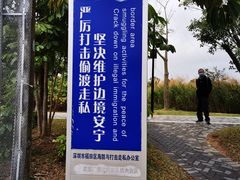 -福田红树林生态公园