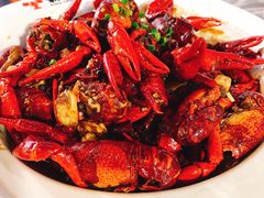 招牌麻辣小龙虾-霸王虾·麻辣小龙虾(清水河公园店)