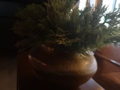 -源本清茶(顺城购物中心店)