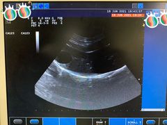 -美迦爱-牙专科·兔科·骨科诊疗中心(北苑店)
