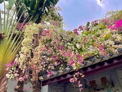 -深圳国际园林花卉博览园