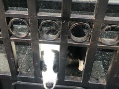 -恋萍小吃(时代店)