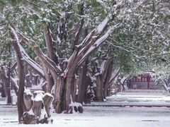 -北京市劳动人民文化宫(太庙)