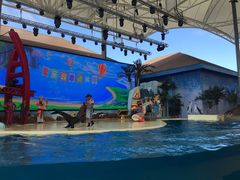 -三亚海昌梦幻海洋不夜城