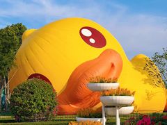 -东南花都花博园