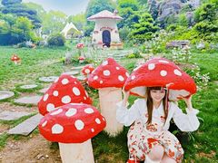 -上海鲜花港