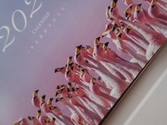 -好利来(朝外店)