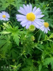 -Oasis Beauty水磨坊科技美肤中心