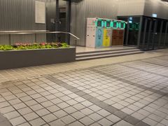 -香港大学