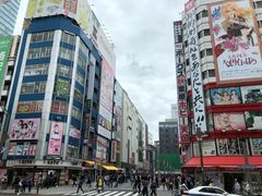 -秋叶原电器街