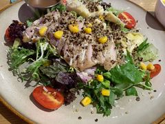 -HELLO 27 意面·沙拉·帕尼尼