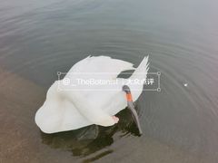 -海德公园