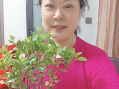 -金贝儿月嫂(高新尚品国际店)