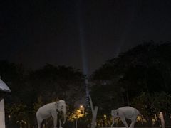 -清迈夜间动物园