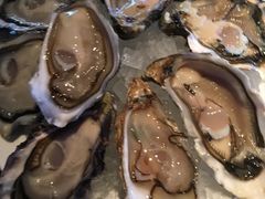 生蚝-香港喜来登酒店蚝酒吧