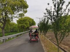 -嘉北郊野公园