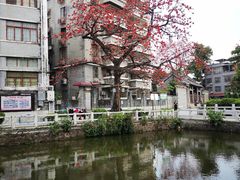 -黄埔古港
