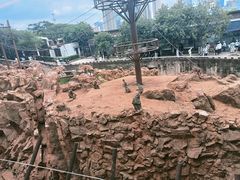 -昆明动物园