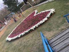 -天适樱花悠乐园