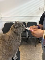 -飛凡TATTOO纹身•原创