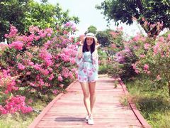 -广东花都香草世界旅游度假区