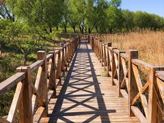 -野鸭湖国家湿地公园