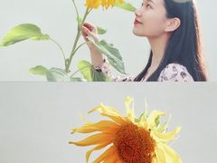 -白鹿仓冰雪海洋世界