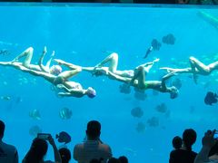 -瑞德姆美人鱼海底演艺主题餐厅(亚龙湾店)