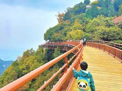 -少华山国家森林公园