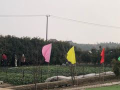 -小鱼草莓采摘园农家乐·小鱼餐厅