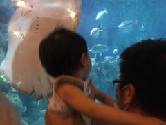 -杭州海底世界