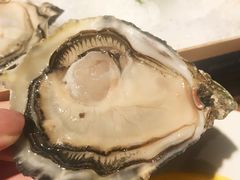 法国进口月亮生蚝-弗兰克牛排西餐厅Ribone steak house(柠檬花园店)