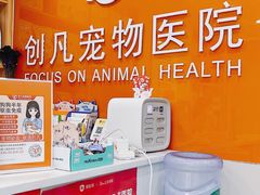 -创凡宠物医院·骨专科  猫科中心(西乡分院)