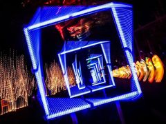 -锦江乐园舞狸花花游园会(夜场专享)