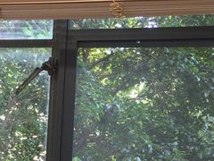 -苏州大学理想眼科医院