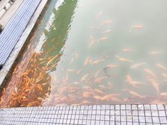 -千龙湖生态旅游度假区