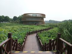 -荷塘月色湿地公园·向阳花洲