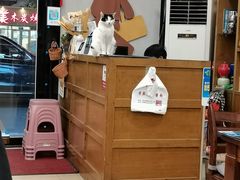 -贵宾庄炸酱面·韩式料理(高区店)
