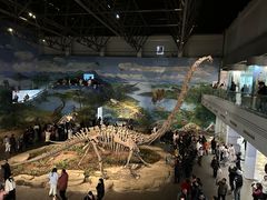 -自贡恐龙博物馆