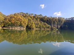 -黄椅山火山森林公园